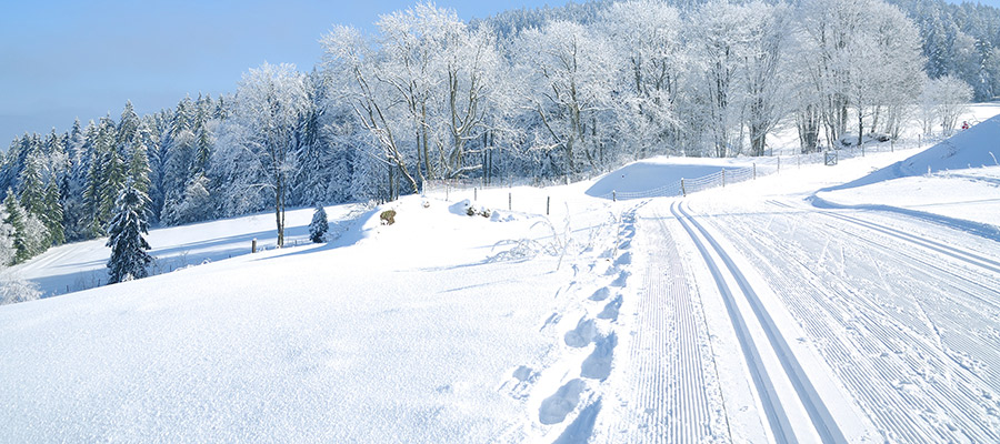 Chalets Niederösterreich